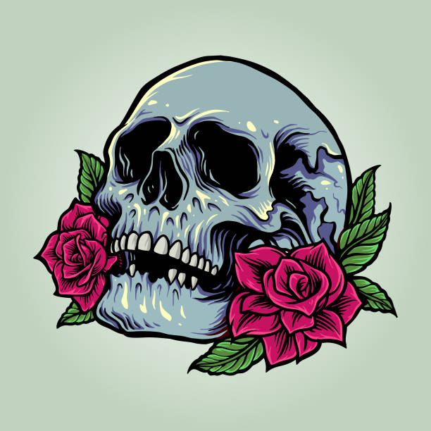 anatomia czaszki cukru z różami ilustracje wektorowe - skull tattoo vector flower stock illustrations