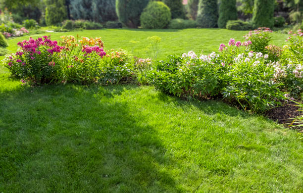 istock Colorful flower garden 1257500478