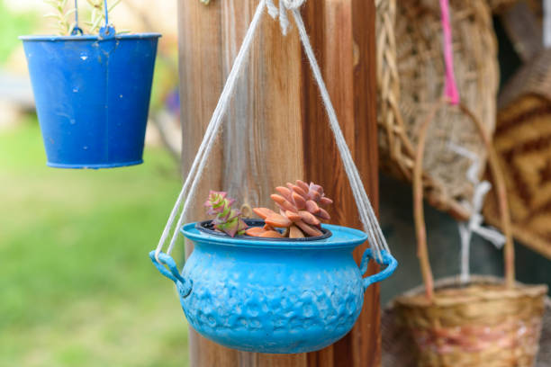 Reused planter ideas. Second-hand, old blue saucepan turn into garden flower pots. Recycled garden design and low-waste lifestyle.