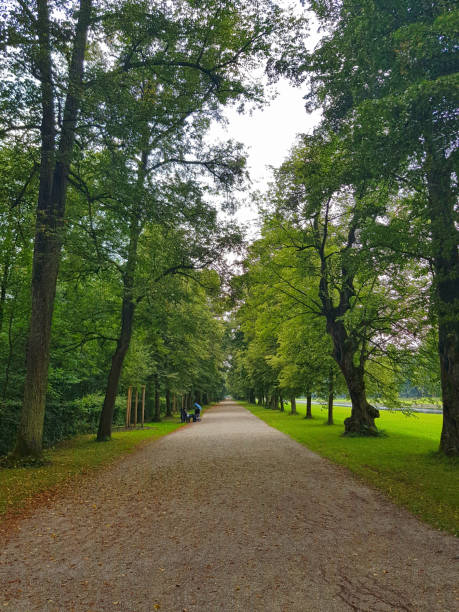 istock Footpath in a German park in Munich 1257510986