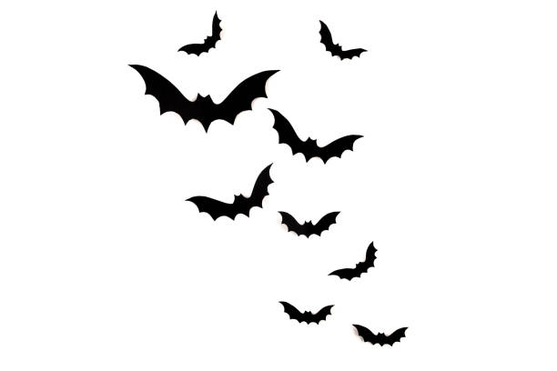 A fruit bat or flying fox in silhouette. The sunlight showing through the wings reveals the veins. 