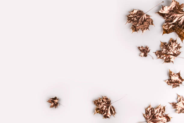 istock Autumn composition. Golden maple leaves on white background. Autumn, fall concept. Flat lay, top view, copy space 1257513267