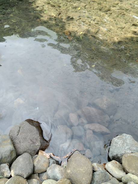 istock natural lava rocks in the pond 1257515594