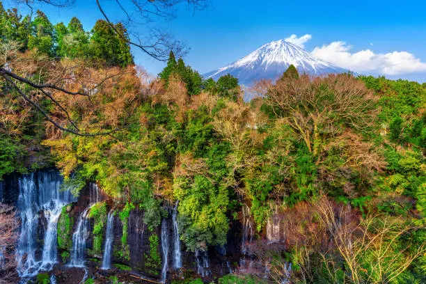 Photo of Fuji mountain and Shiraito waterfall in Japan.