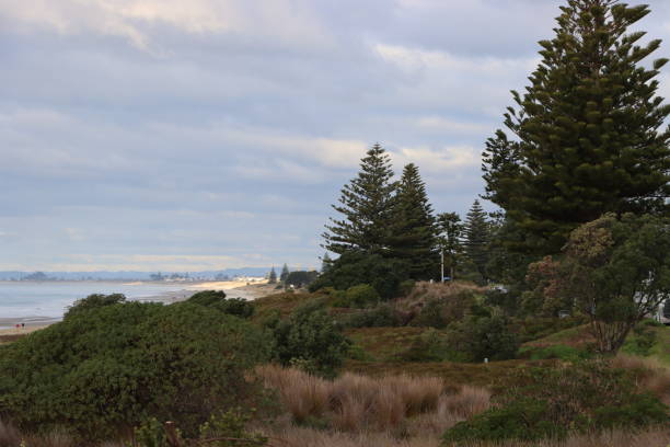 istock Beach Tauranga south 1257522354