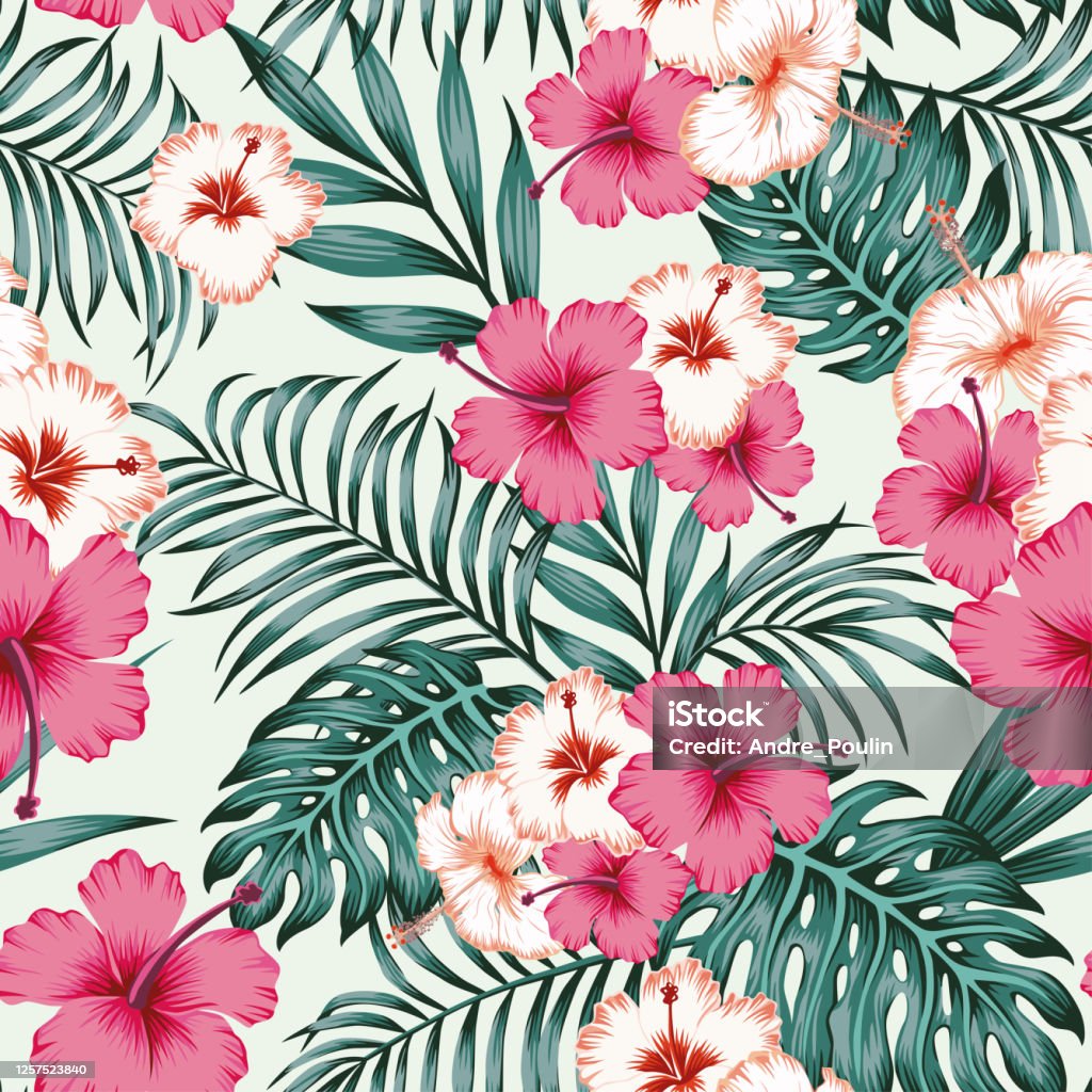 Hibiscus Leaves Seamless Tropical Pattern Background Stock Illustration -  Download Image Now - iStock