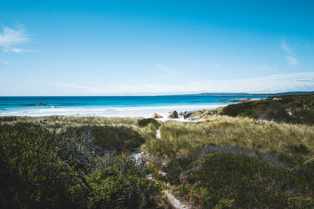 istock Bay of Fires, Tasmania, Australia 1257524505