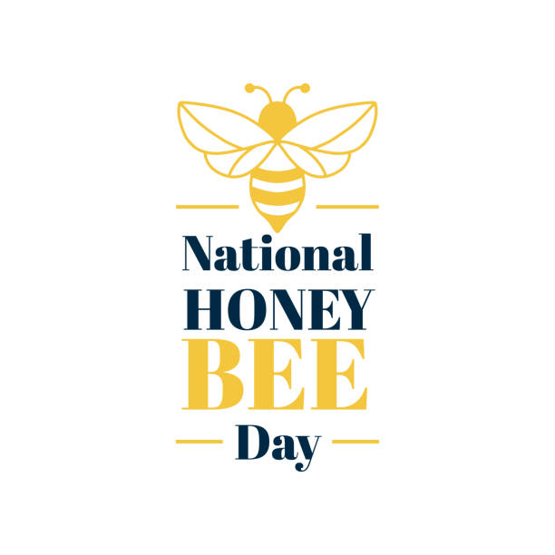 1,200+ Happy Bee Day Stock Illustrations, Royalty-Free Vector Graphics
