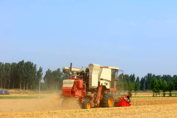 istock combine harvester working on a wheat field 1257524639