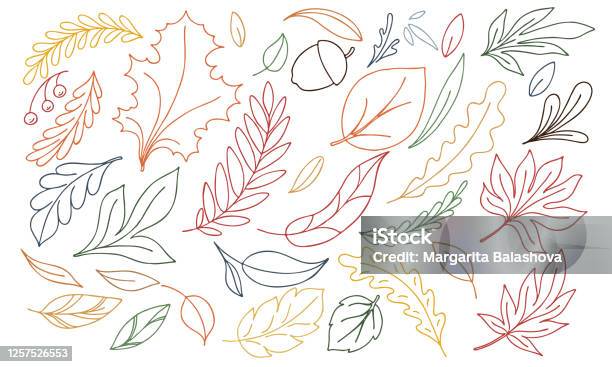 Vector Autumn Illustration Of Multicolored Doodle Leaves On A White Background - Arte vetorial de stock e mais imagens de Folha