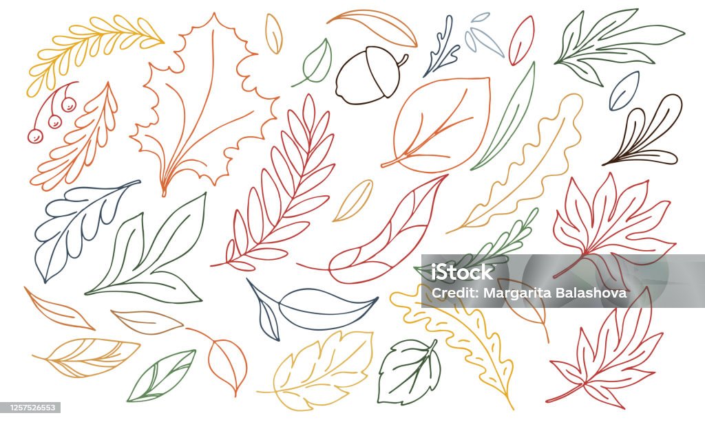 vektor höst illustration av flerfärgade doodle blad på en vit bakgrund, - Royaltyfri Löv vektorgrafik