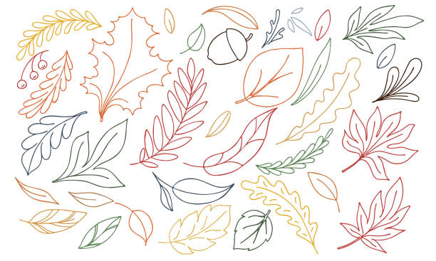 vector autumn illustration of multi-colored doodle leaves on a white background, multicolored set of doodles - autumn leaves, herbarium, leaf fall on a white background in doodle style tree clipart stock illustrations