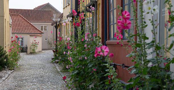 istock The beautiful city of Faaborg 1257527677