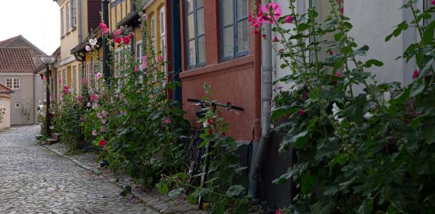 istock The beautiful city of Faaborg 1257527678