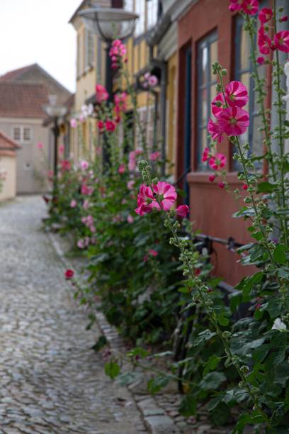 istock The beautiful city of Faaborg 1257527681