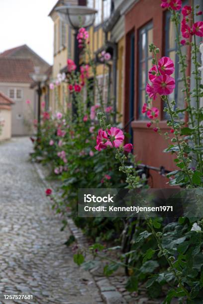 The Beautiful City Of Faaborg Stock Photo - Download Image Now - Faaborg, Architecture, Beauty