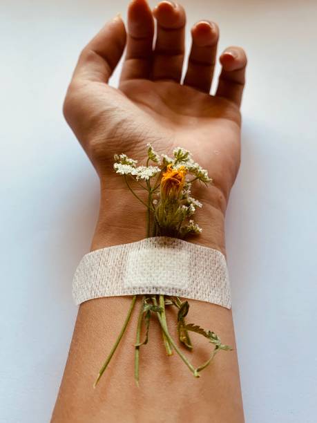 istock hand with flowers close up 1257533425