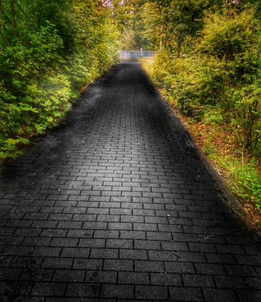 street in small forest on an autumn day