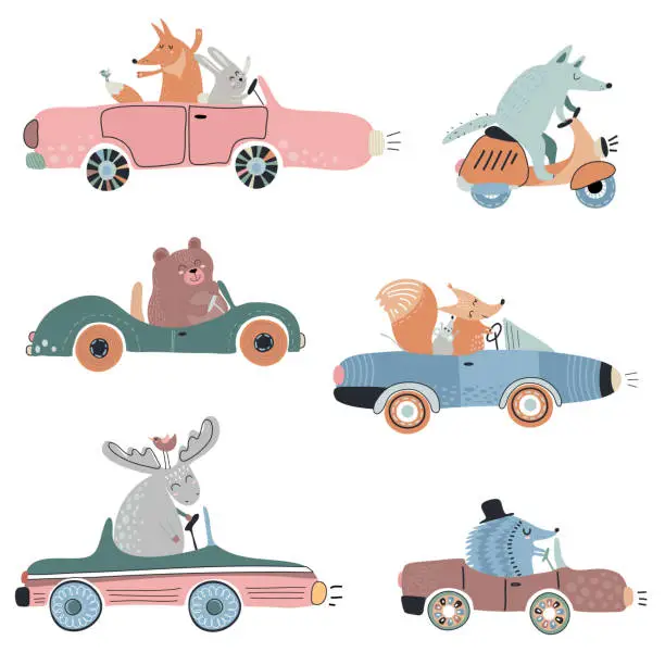 Vector illustration of Cute vector set of funny forest animals on cars.