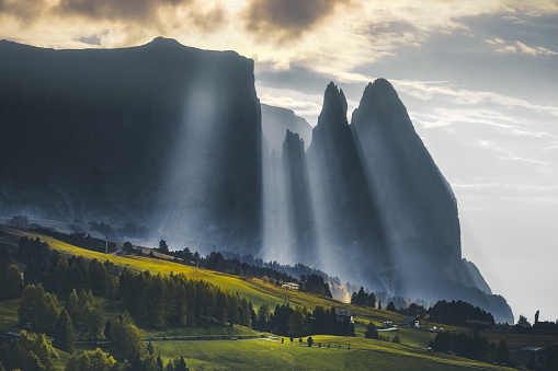 Nature landscape at sunrise on a misty morning in the green grass hills with sun lights, fog and sunbeams through pine trees and cabins in Alpe di Siusi or Seiser Alm area at beautiful sunset, Dolomites mountain, Italia