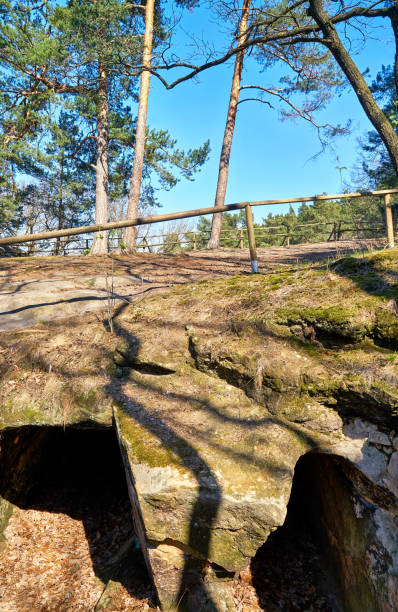 wejście do skał w skalistym krajobrazie piaskowca w lesie. park narodowy harz. saksonia-anhalt, niemcy - regenstein zdjęcia i obrazy z banku zdjęć