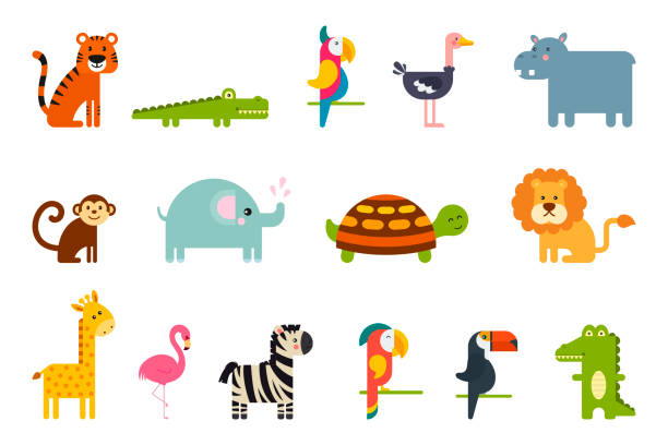 zestaw popularnych kolorowych wektorowych tropikalnych zwierząt i ptaków - zebra animal isolated young animal stock illustrations