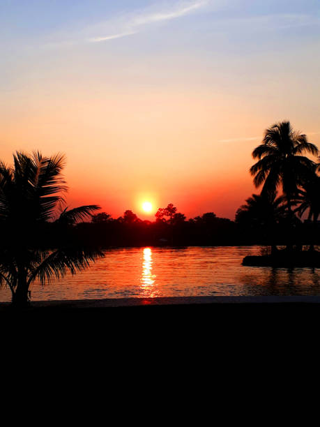 Sunset observable through the coconut palm trees at the horizon of Eco Park Kolkata West Bengal. The reflection of sun is visible in the water of the lake.
