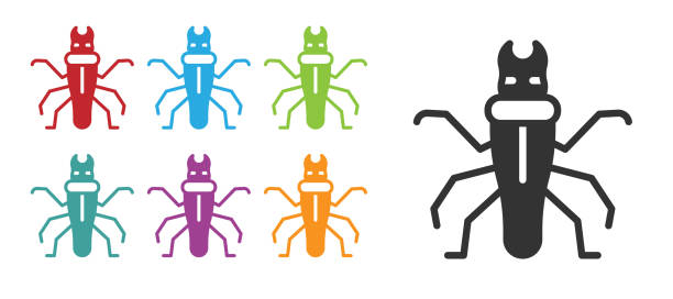 ilustrações de stock, clip art, desenhos animados e ícones de black termite icon isolated on white background. set icons colorful. vector - ant underground animal nest insect