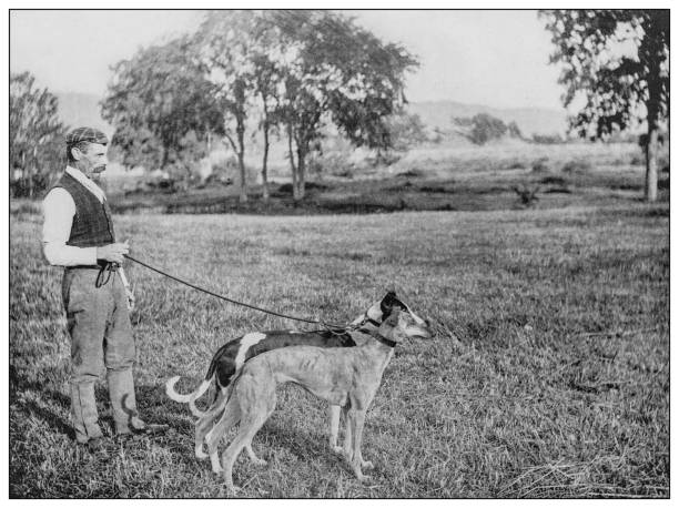 Antique black and white photo: Man with two greyhounds