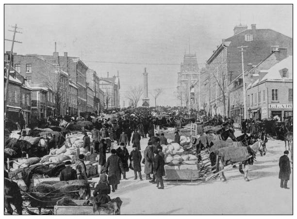Antique black and white photo: Market Day, Jacques Cartier Square, Montreal, Canada Antique black and white photo: Market Day, Jacques Cartier Square, Montreal, Canada montréal photos stock illustrations