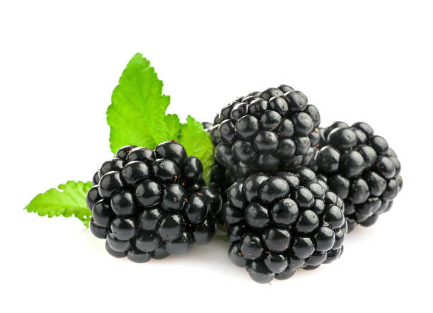 istock Fresh ripe juicy blackberries 1257544803