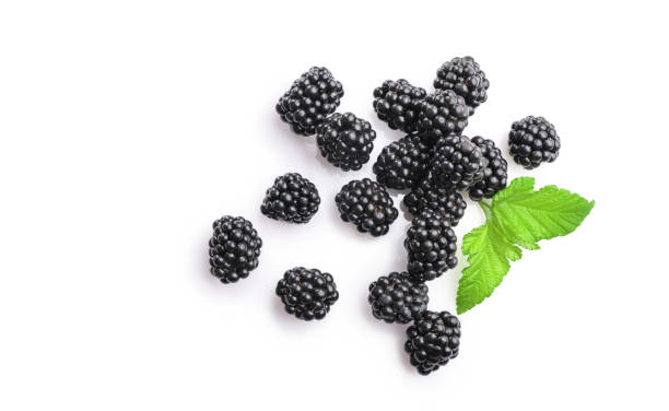 istock Fresh ripe juicy blackberries 1257544815