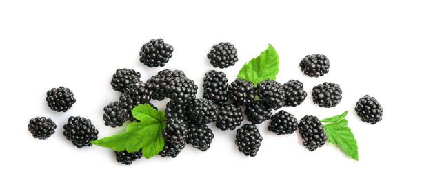 istock Fresh ripe juicy blackberries 1257544821