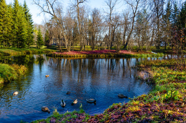 A small blue lake with a tiny island surrounded by green meadows and autumn trees against the blue sky.