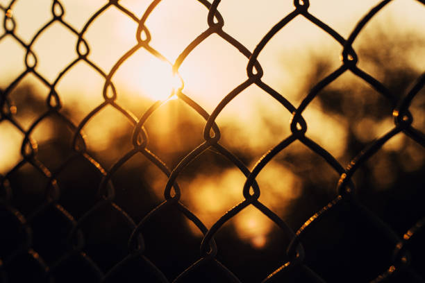 istock A metal fence against a warm sunset 1257547981