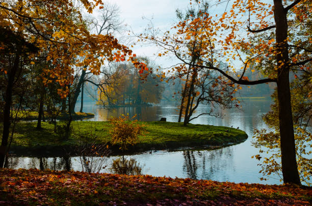 istock Autumn landscape in the Park with a lake 1257548244