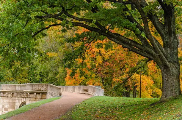 A shady autumn Park with multi-colored trees decorated in autumn, a path sprinkled with red sand, an ancient bridge.