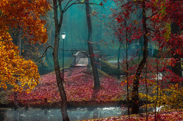 istock Autumn landscape in the Park with a bridge 1257548985
