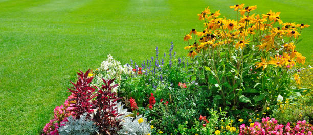 istock Multicolored flowerbed on a lawn. horizontal shot. Wide photo. 1257549171
