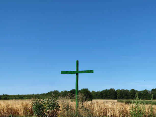 istock green cross on a field - EU 1257549229