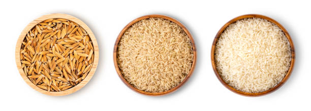 istock Variety type of rice 1257551851