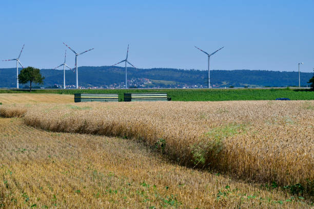 Austria, grain harvest of a wheat field and wind turbines behind in Lower Austria