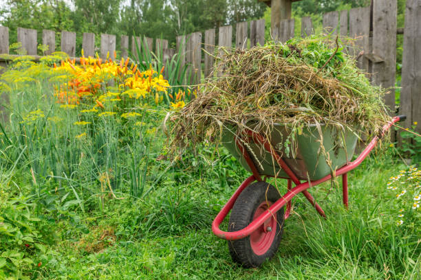 istock Garden cart in the kitchen garden 1257560564