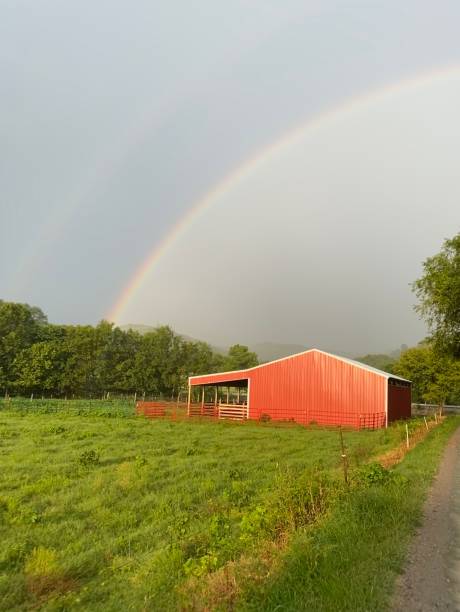 istock What you find under the rainbow 1257560796