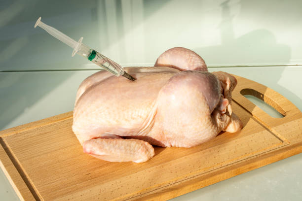 raw chicken and syringe. growth hormones and antibiotics in chicken meat - injecting healthy eating laboratory dna imagens e fotografias de stock