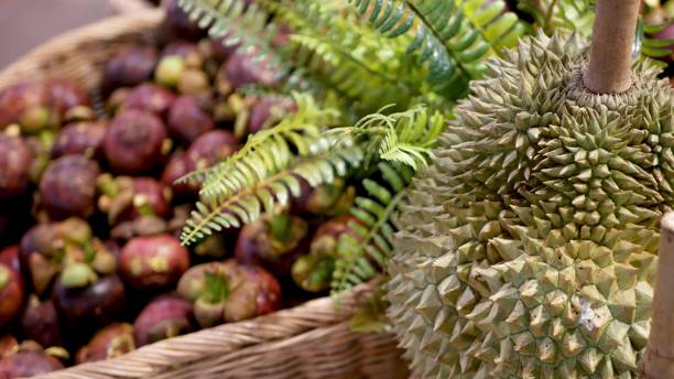 istock Fruits and vegetables on rustic stall. Assorted fresh ripe fruits and vegetables placed on rustic oriental stall in market. sweet tropical purple mangosteen and durian on foreground. 1257563071