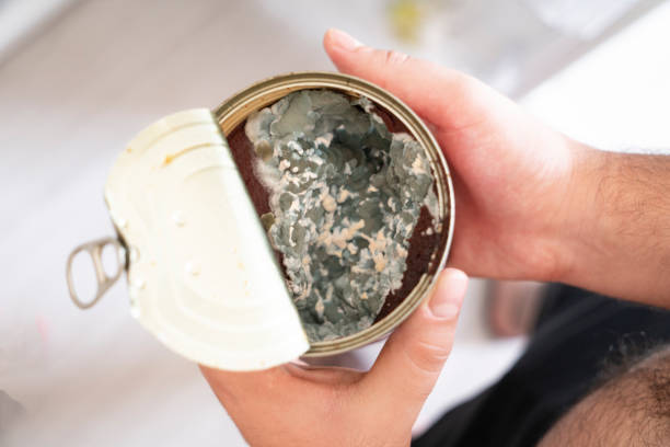 Canned tomato paste rotted and molded in the refrigerator.