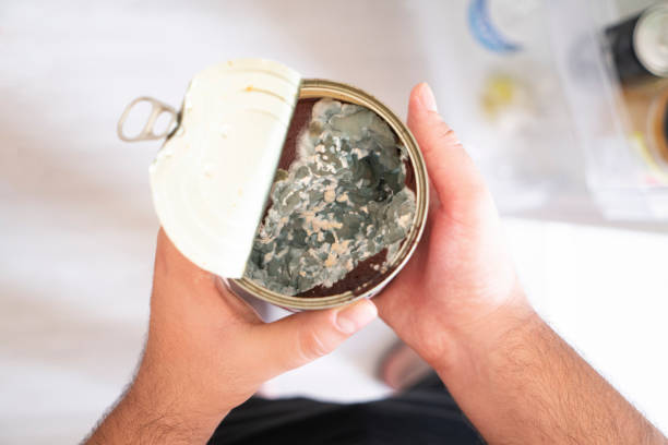 istock Canned tomato paste rotted and molded in the refrigerator. 1257563797