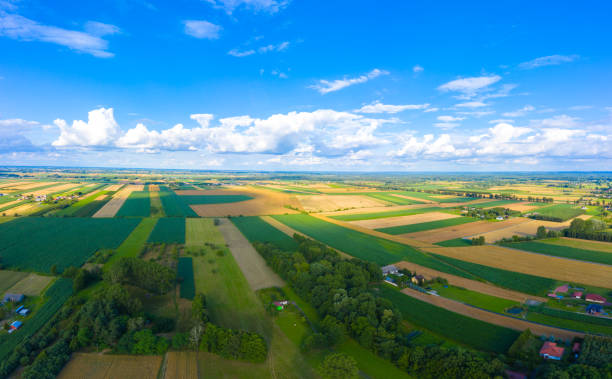 Panoramic aerial view of idyllic rolling patchwork farmland with pretty wooded boundaries, lit in warm early evening sunshine in the heart of the Countryside