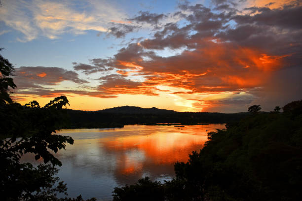 ウガンダのナイル川に沈む夕日 - lake victoria ストックフォトと画像